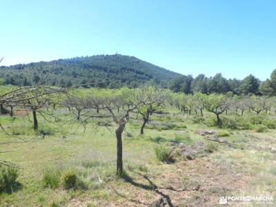 Alto Palancia, Comarca entre Parques Naturales; viajes de solteros jovenes pagina web de viajes parq